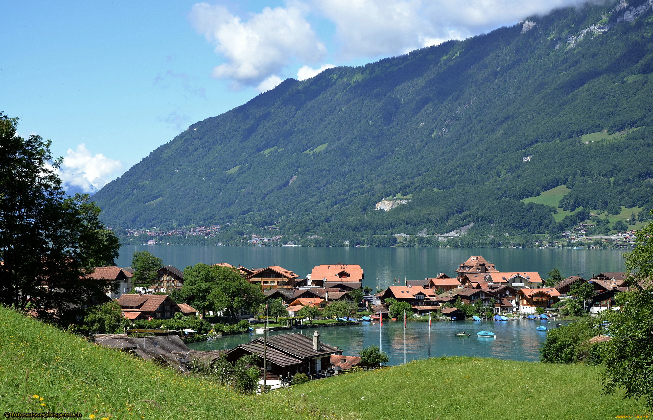 , iseltwald, on, lake, brienz, , 